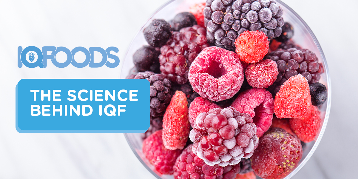 IQFOODS | The Science Behind IQF