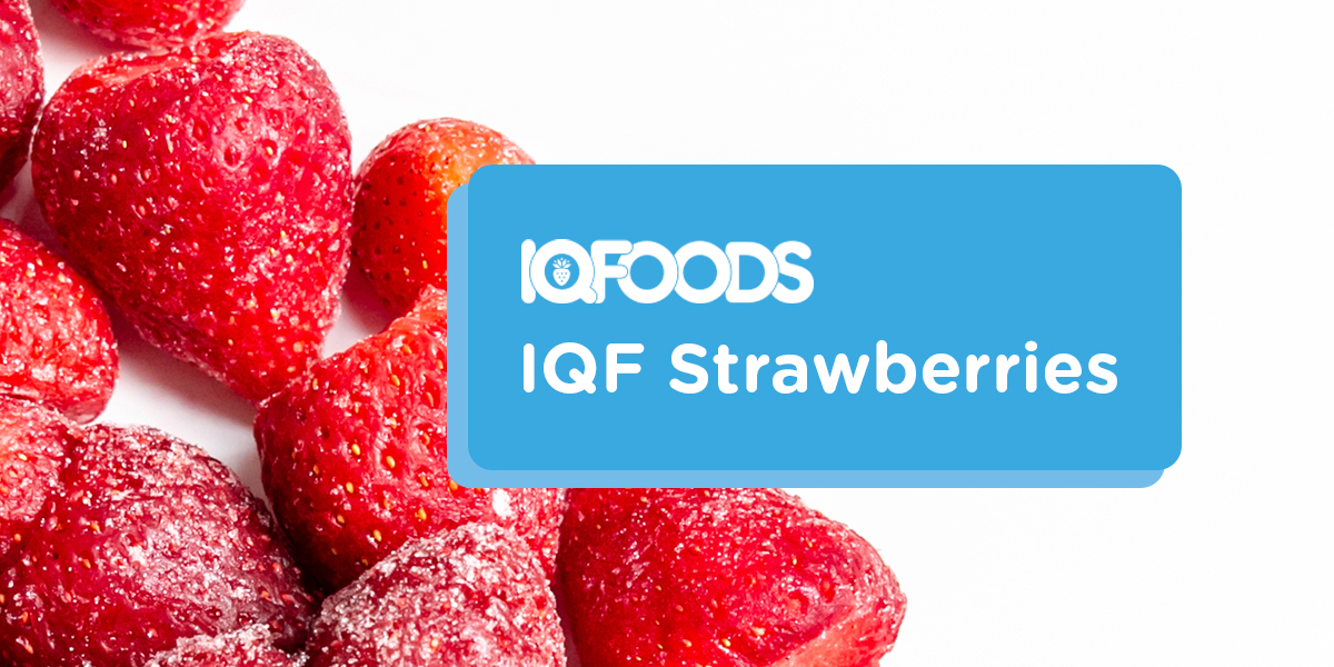 IQF FOODS - IQF Strawberries from Morocco